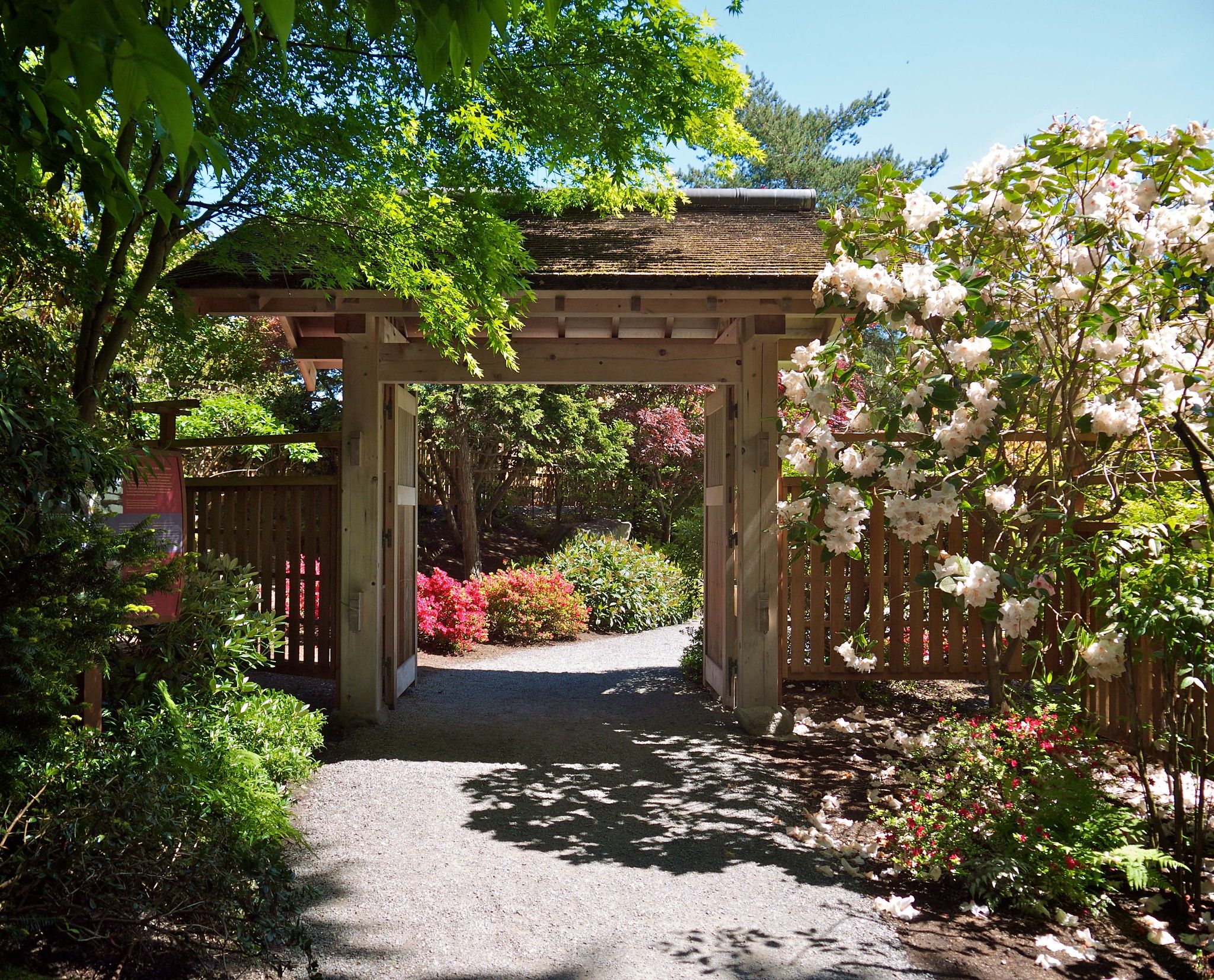 Bellevue, WA 6