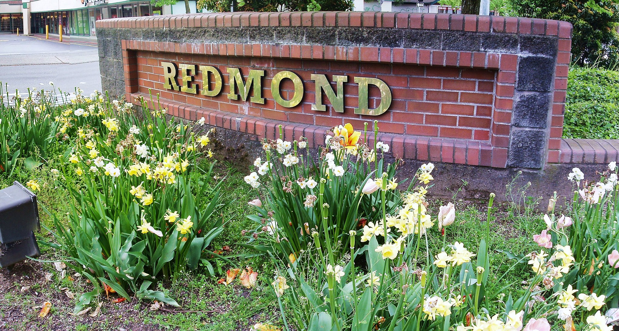 Redmond, WA 2