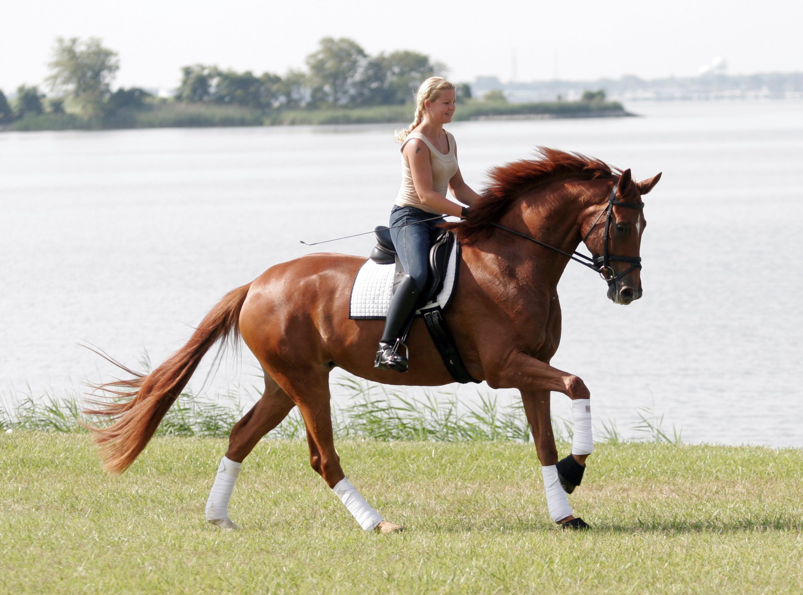 Equestrian Activities kirkland