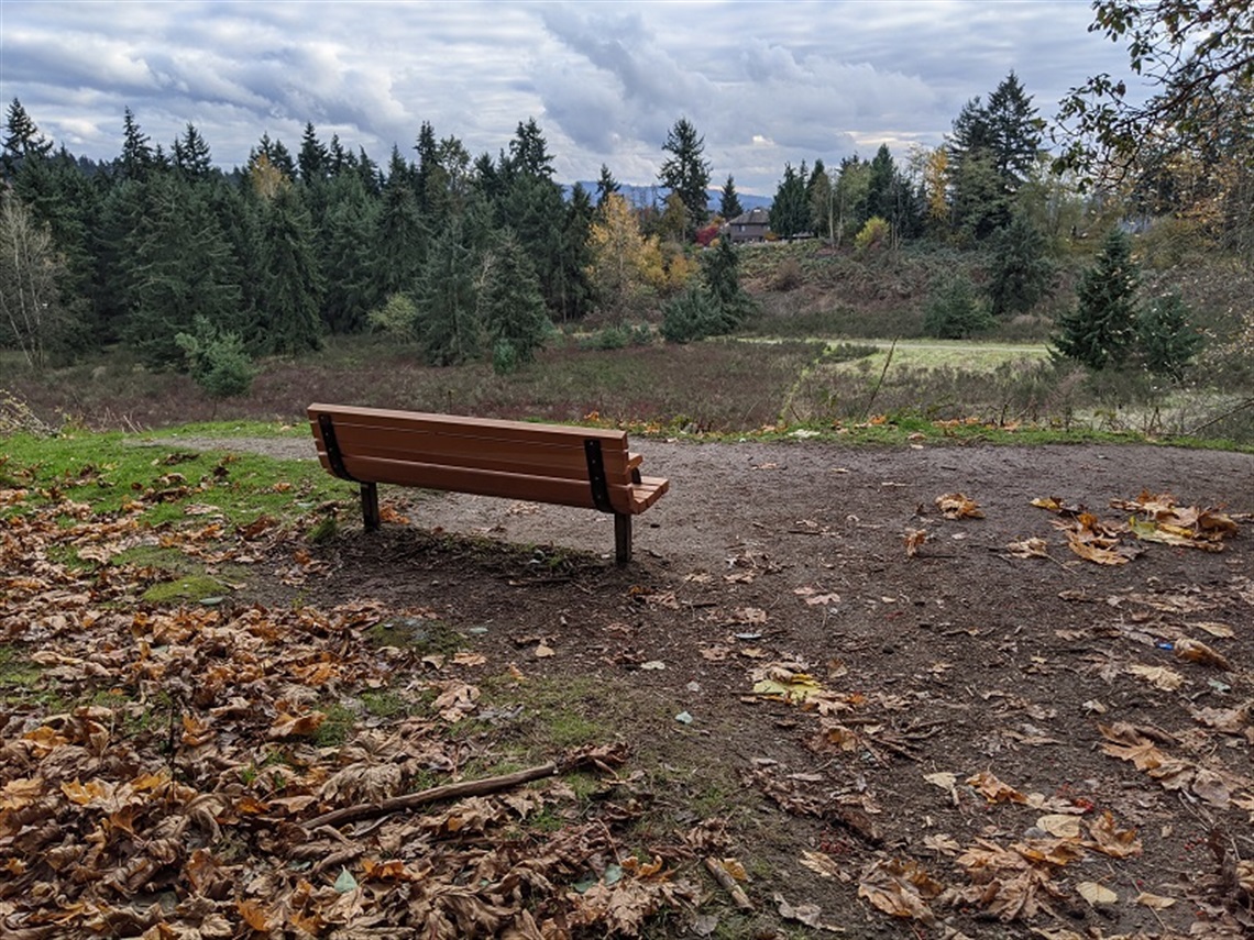 Watershed Park kirkland