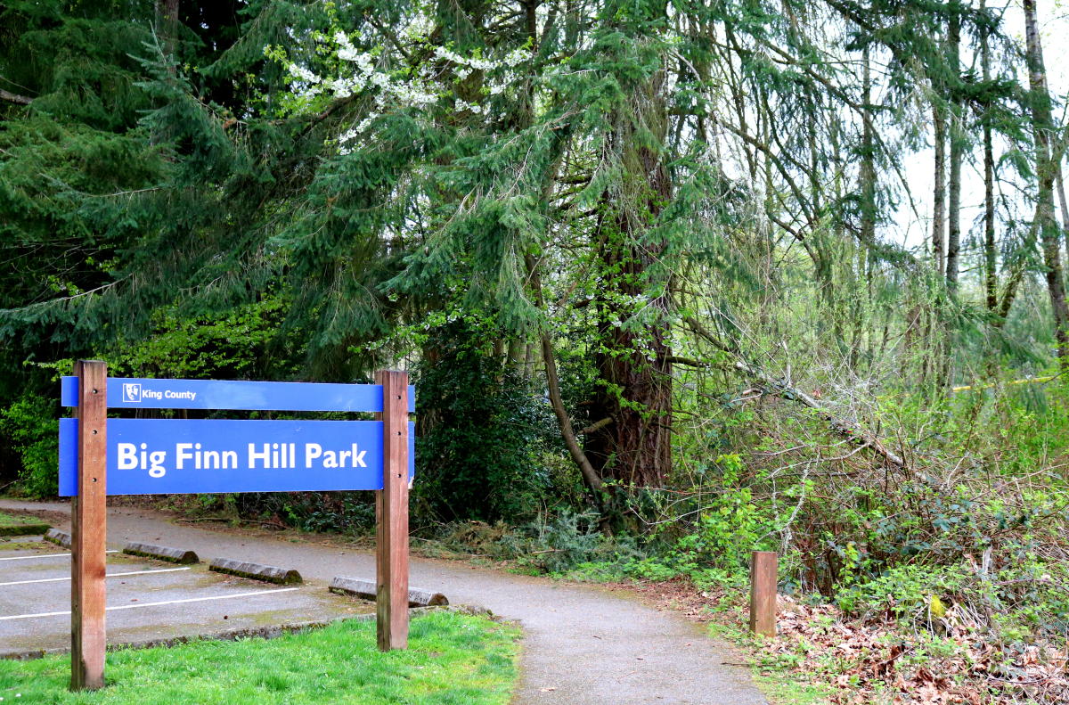 Big Finn Hill Park near Finn Hill in Kirkland, WA