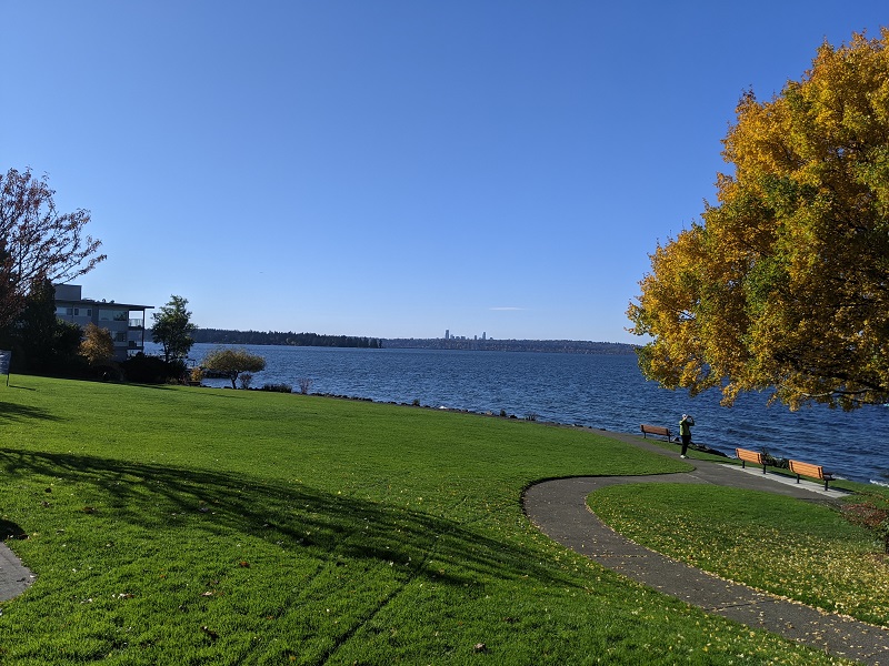 Marsh Park in Lakeview in Kirkland, WA