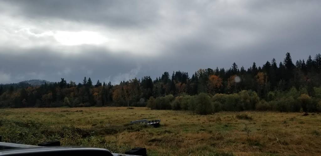 A Retreat into Nature