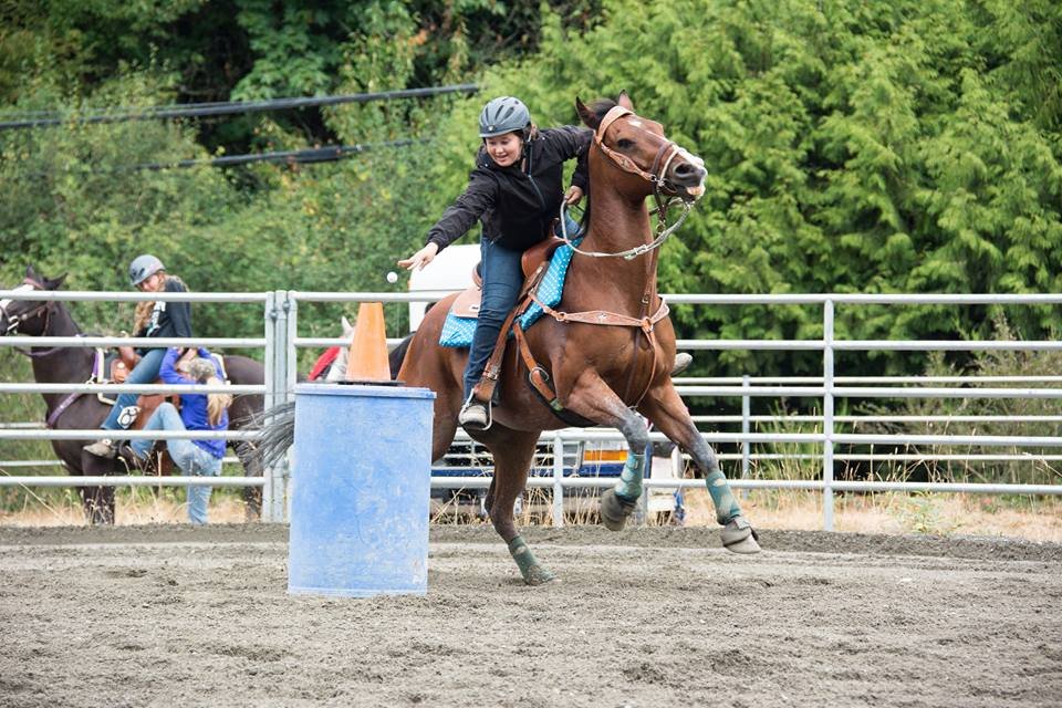 A Thriving Equestrian Community Hollywood Hill