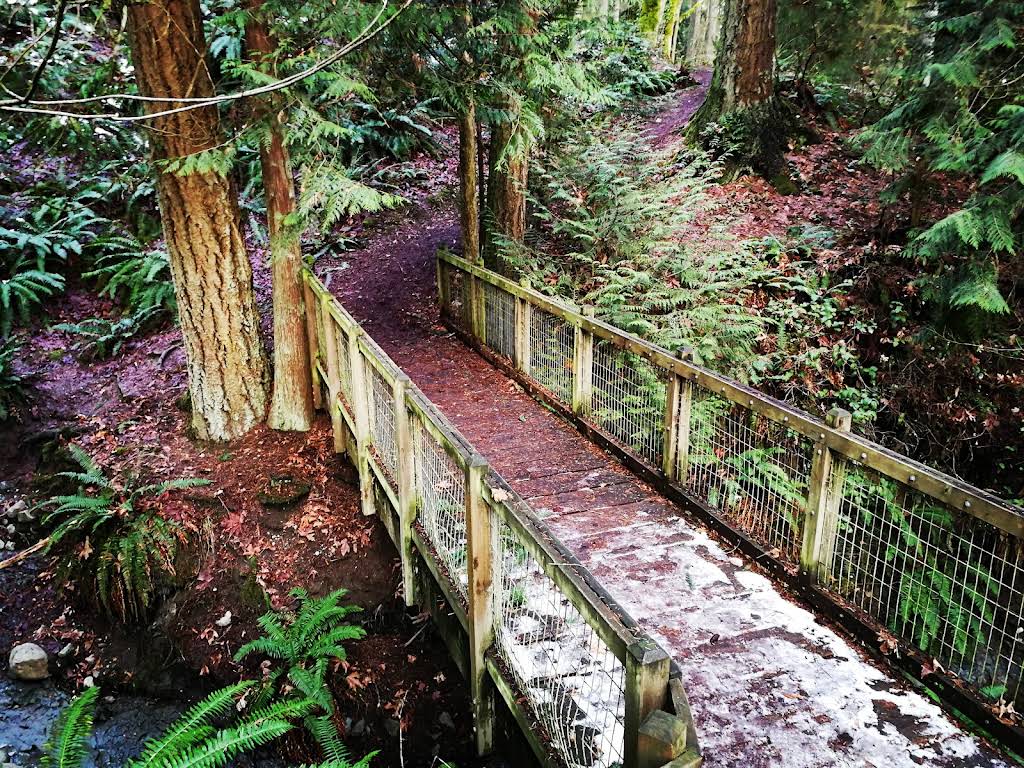 Ardmore Park