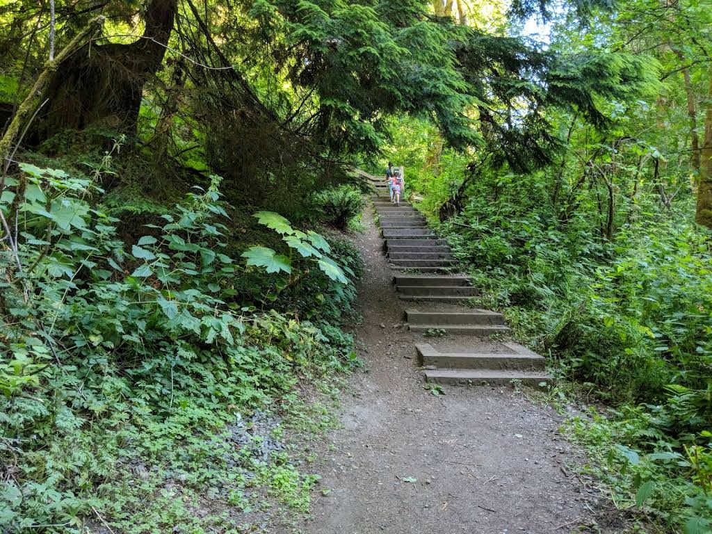 Coal Creek Natural Area