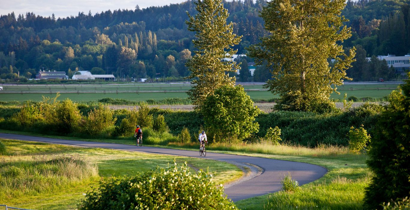 Connection to Wine Country