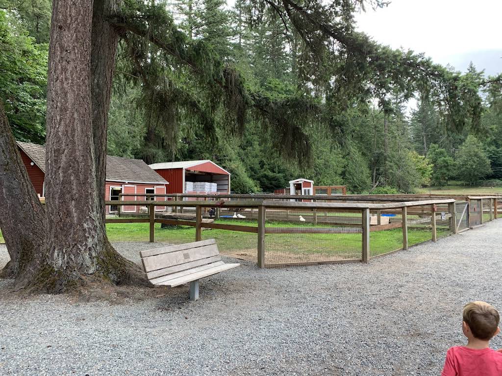 Farrel-McWhirter Farm Activities