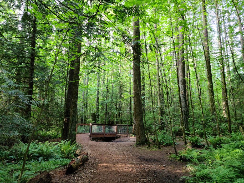 Farrel-McWhirter Park