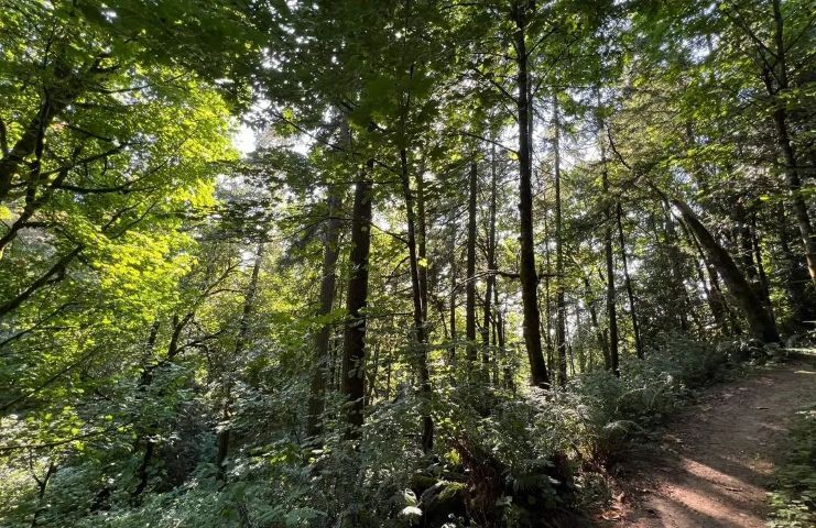 Gold Creek County Park