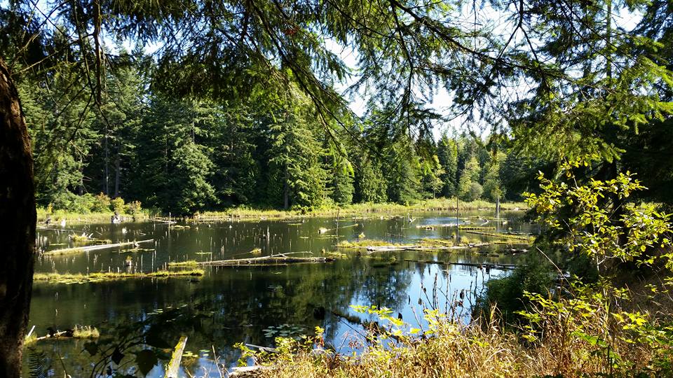 Lord Hill Regional Park