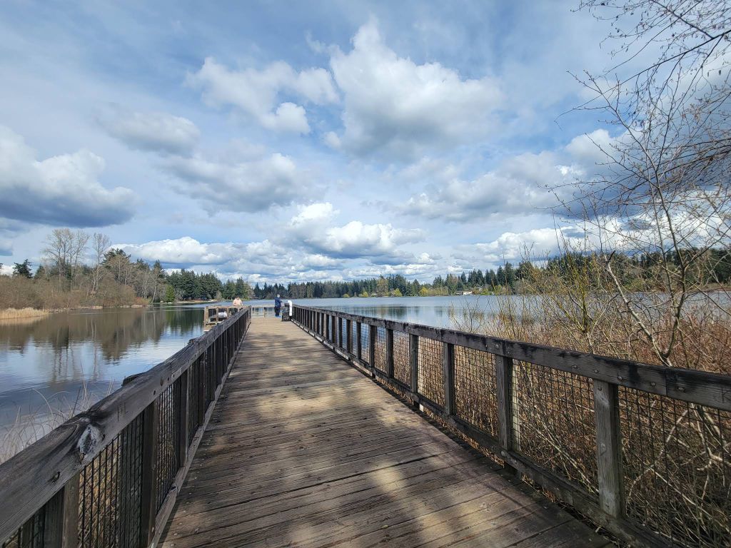 Private Lake Washington Beach