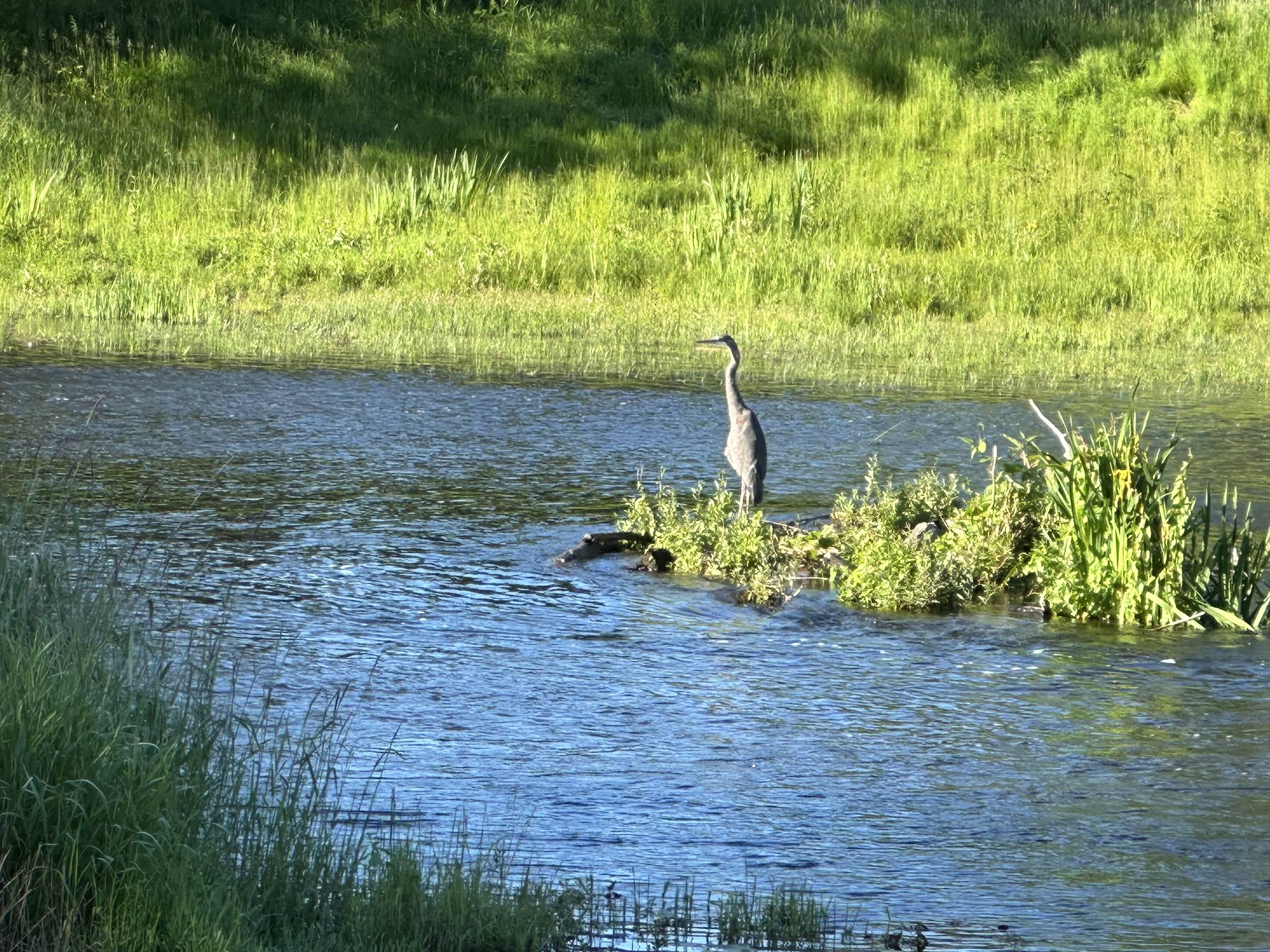 Sammamish River Trail