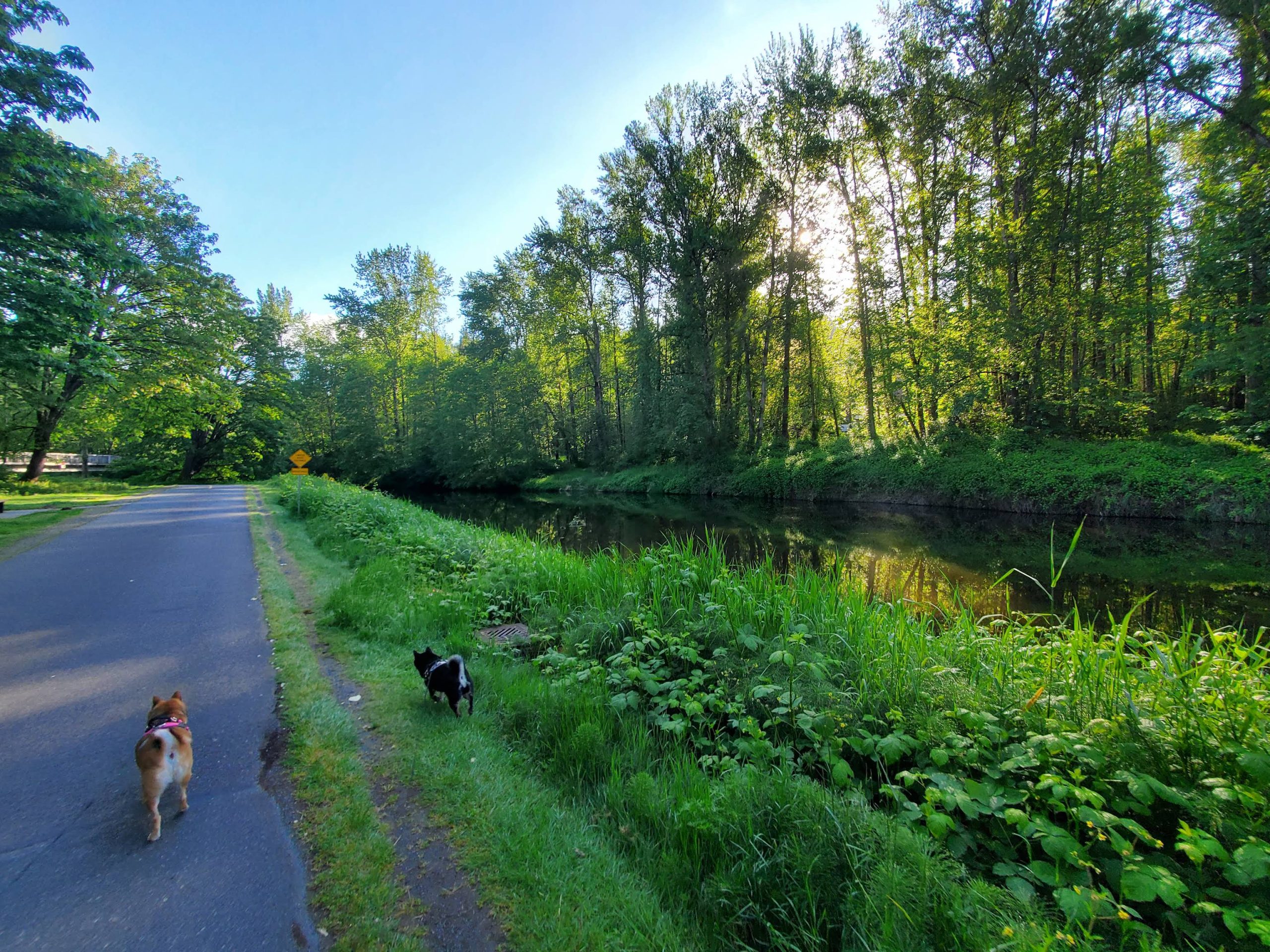 Sammamish River Trail