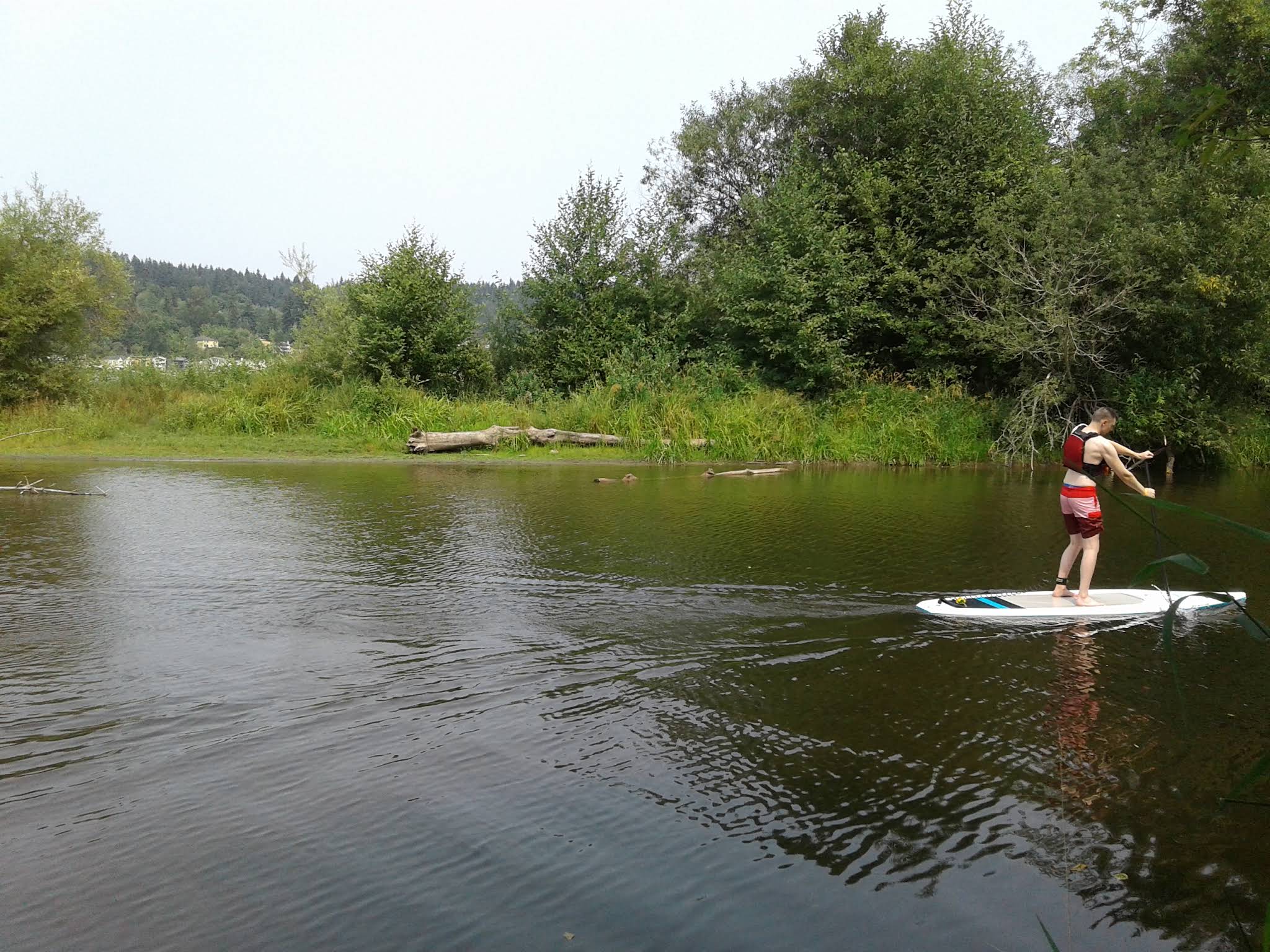 Sammamish Valley, 1