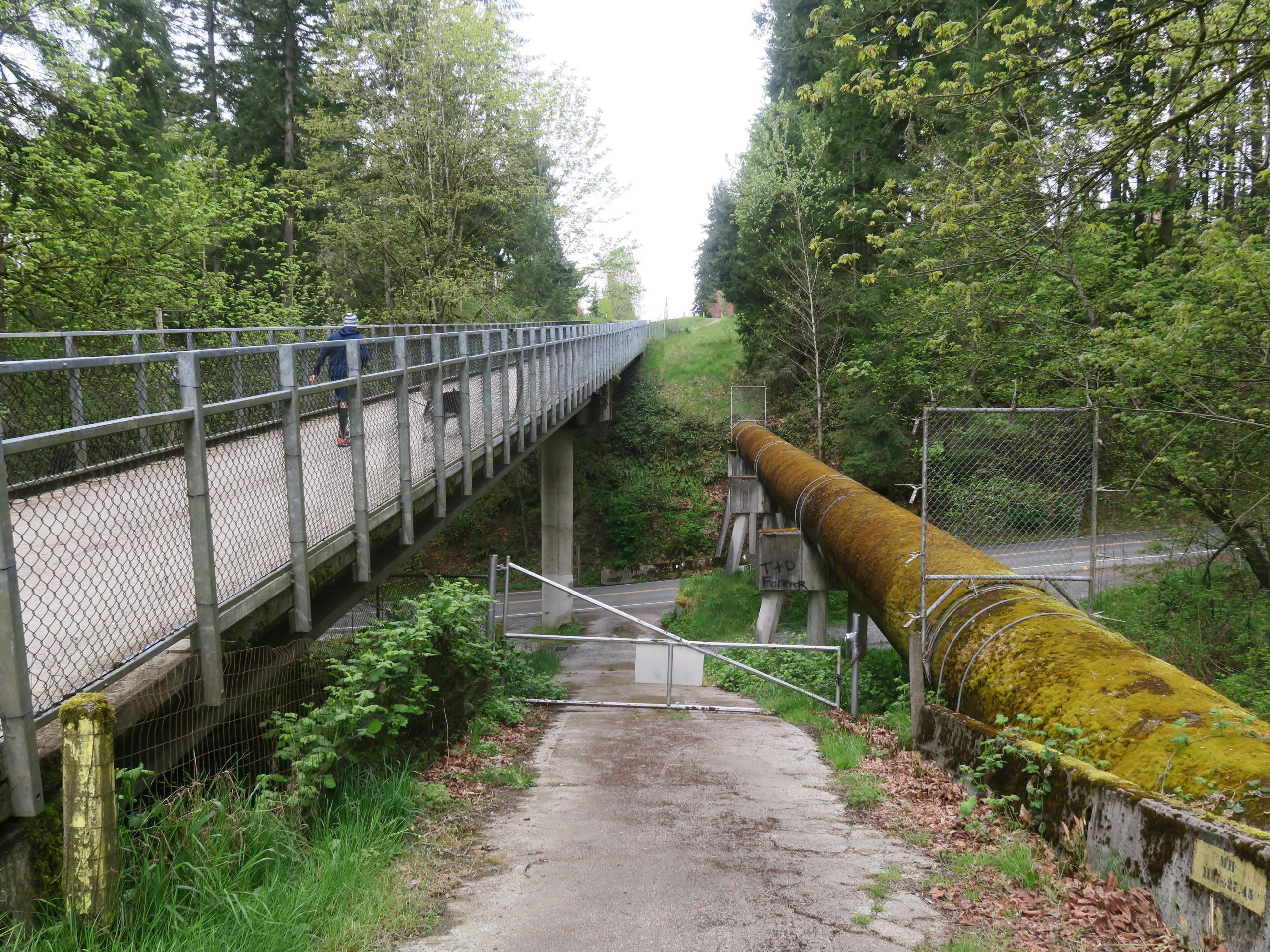 Tolt Pipeline Trail