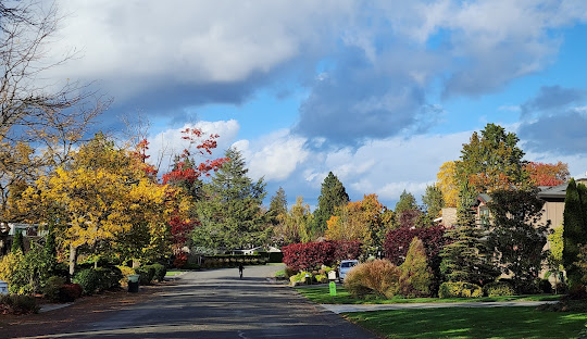 Understated, Family-Centric Living